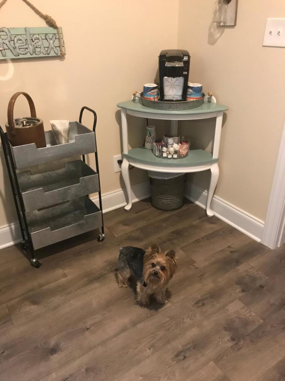 سامرفيل Caroline'S Bed And Breakfast المظهر الخارجي الصورة
